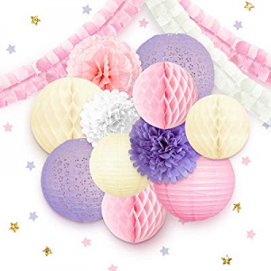 NICROLANDEE Princess Party Decorations for Girls now 60.0% off , Pink Paper Lantern Tissue Pom Poms 