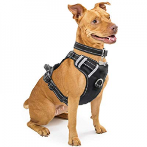 30.0% off WINSEE Dog Harness No-Pull Pet Harness with Dog Collar & Front/Back Leash Clips Reflective