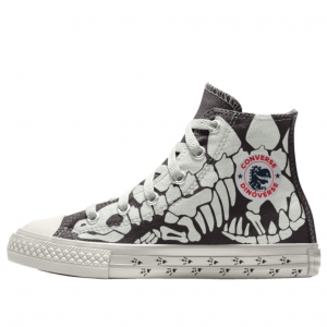 dinoverse converse