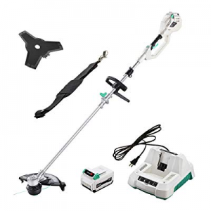 LiTHELi 40V 14 inches Cordless Grass Trimmer 2 in 1 with 2.5AH Battery and Charger now 10.0% off 
