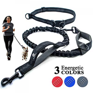 One Day Only！Chunky Paw Hands Free Dog Leash for Running now 30.0% off , Walking, Hiking, Jogging,..