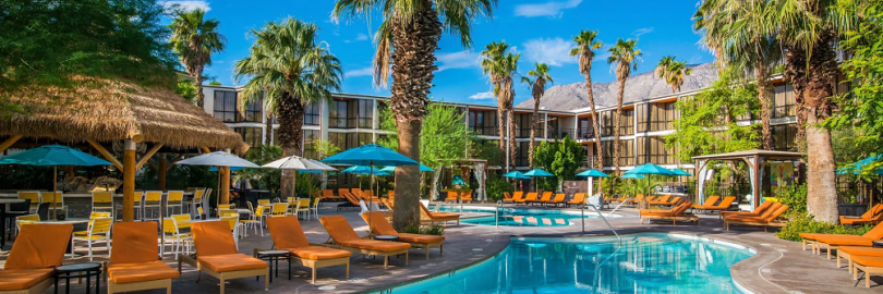 8 Amazing Pet-Friendly Hotels in Palm Springs - A Traveler’s Guide