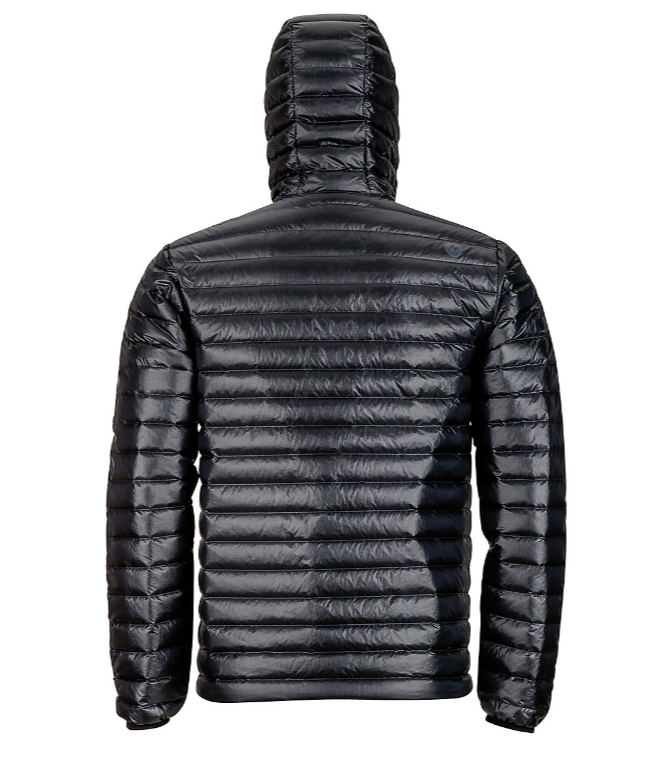 quasar nova hoody