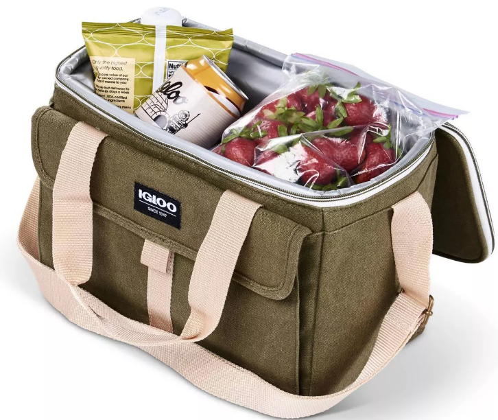 tote bag with lunch compartment