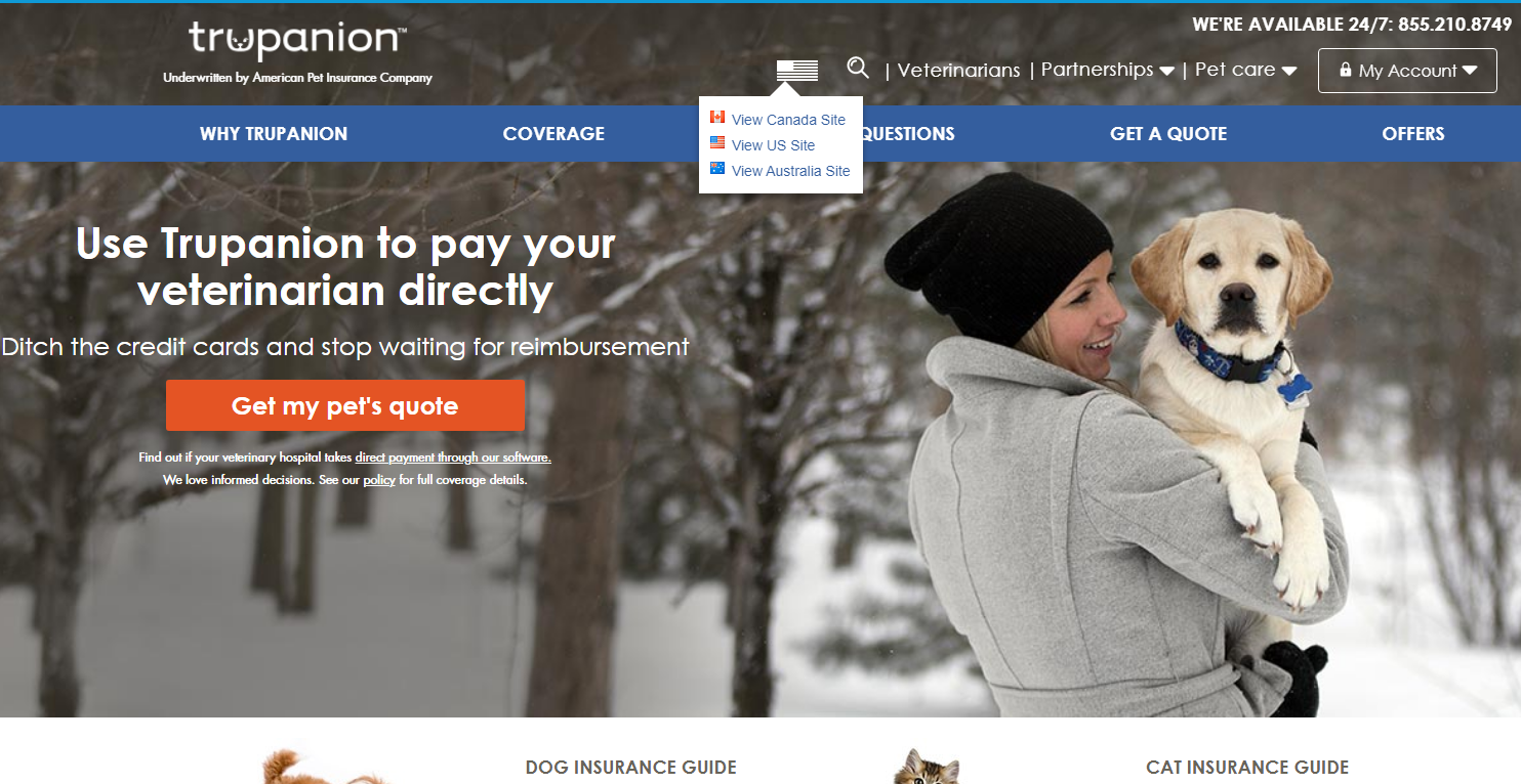 Top 5 Pet Insurance Comparison Nationwide vs. Lemonade vs