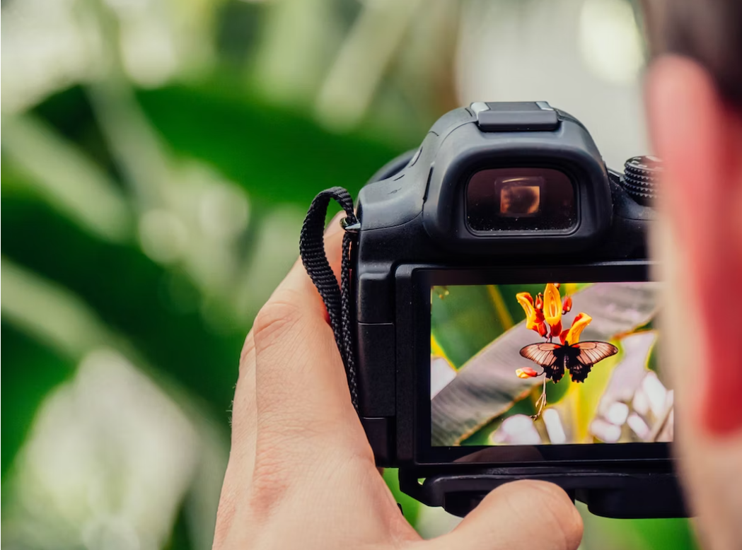 8个国内外摄影投稿平台/网站推荐（附投稿方式+要求）- 手机、相机，业余、专业照片都可以！